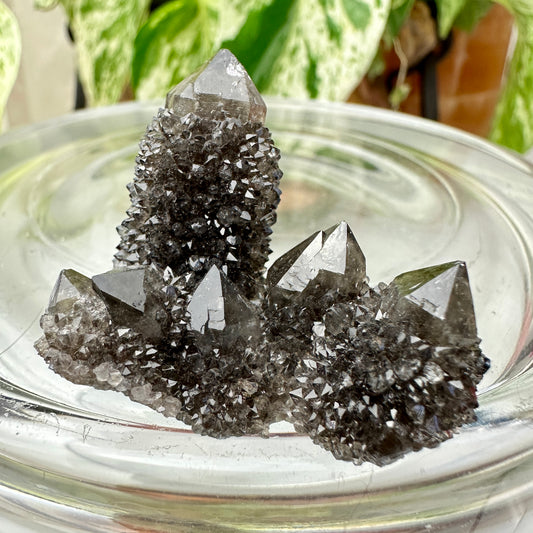 Smoky Spirit Quartz Clusters – Ethereal Light + Protective Energy (A: 20g | B: 16g)