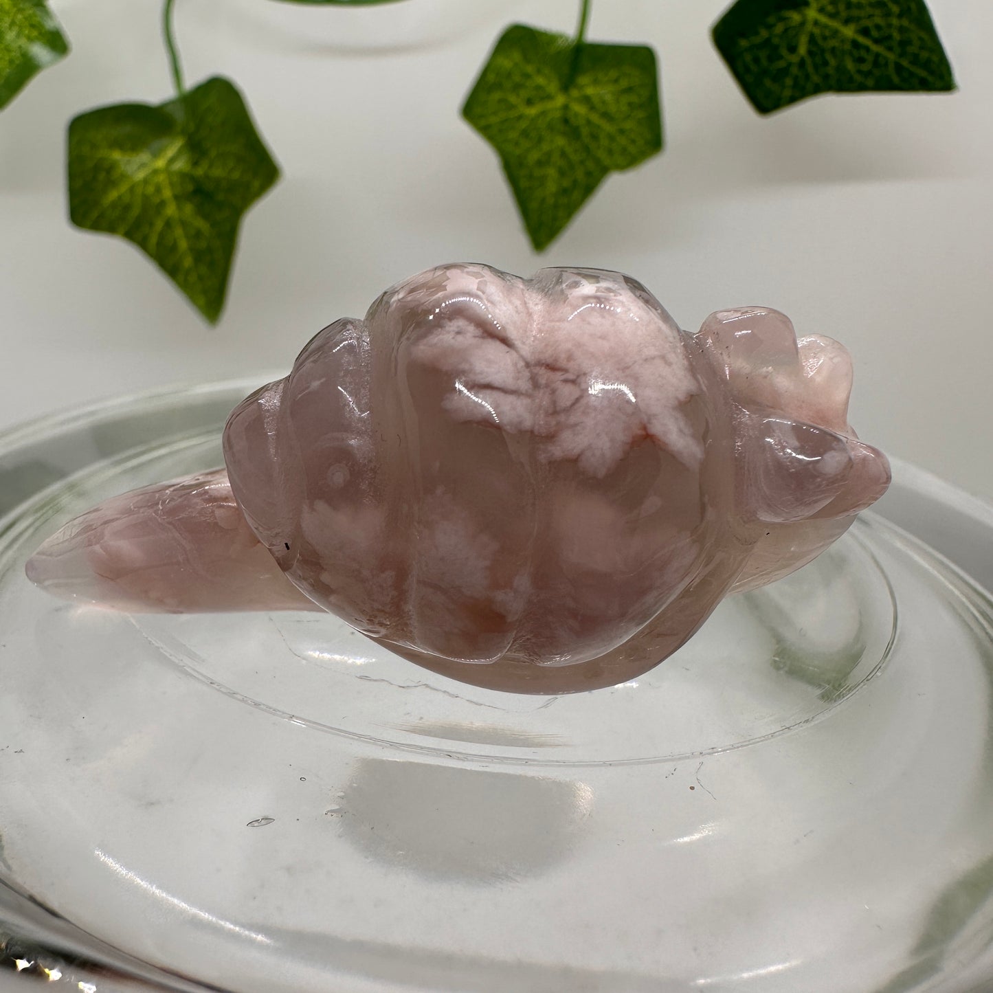 Flower Agate Snail (B) - Katie's Mystic Crystals