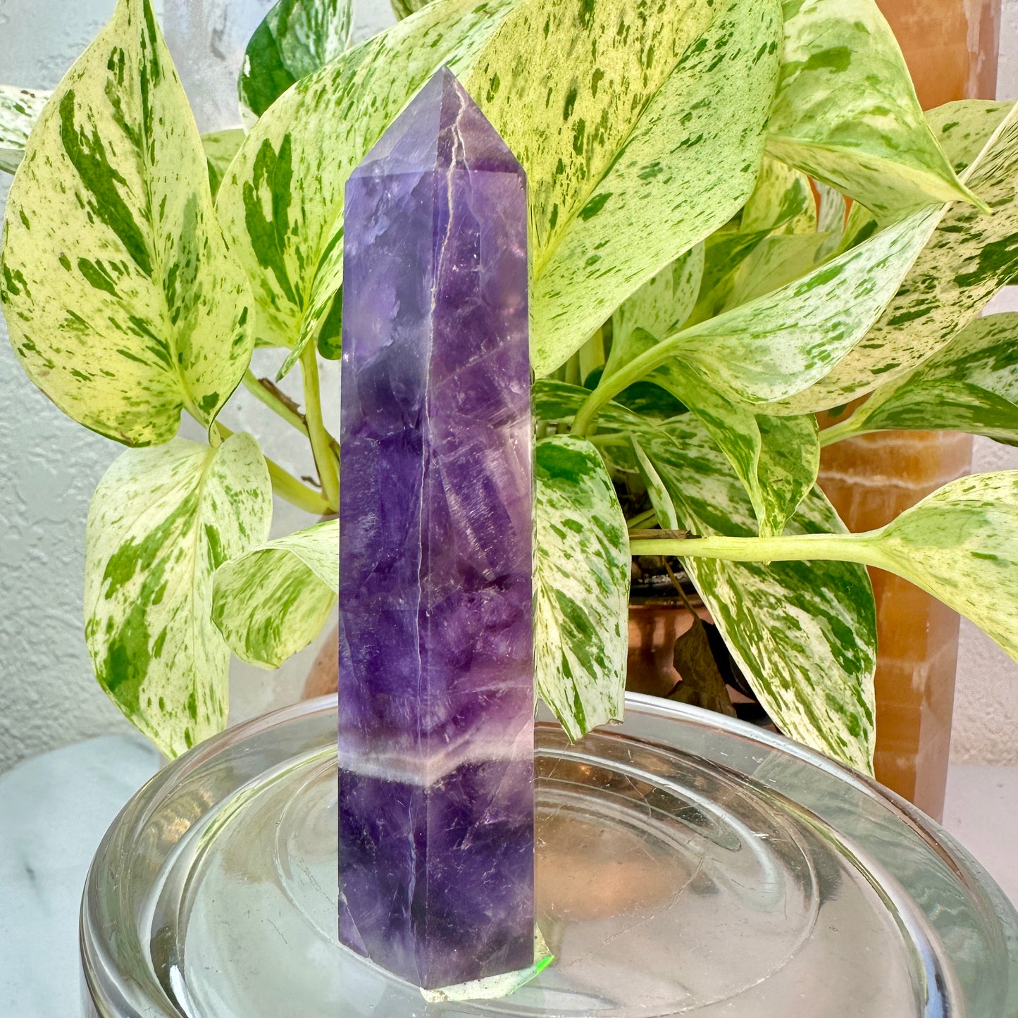 Set of 2 Amethyst Points — 3.1 & 3.9 inch
Spiritual Calm | Protection | Higher Awareness