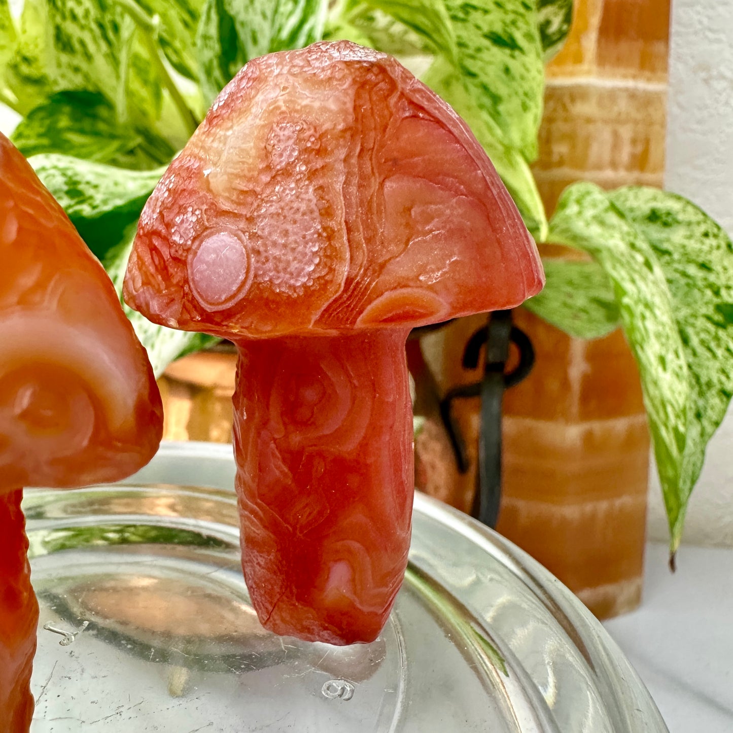 Sunset Fire Gobi Agate Mushrooms — Heat-Treated Desert Magic in Fiery Orange Tones 🍄🔥