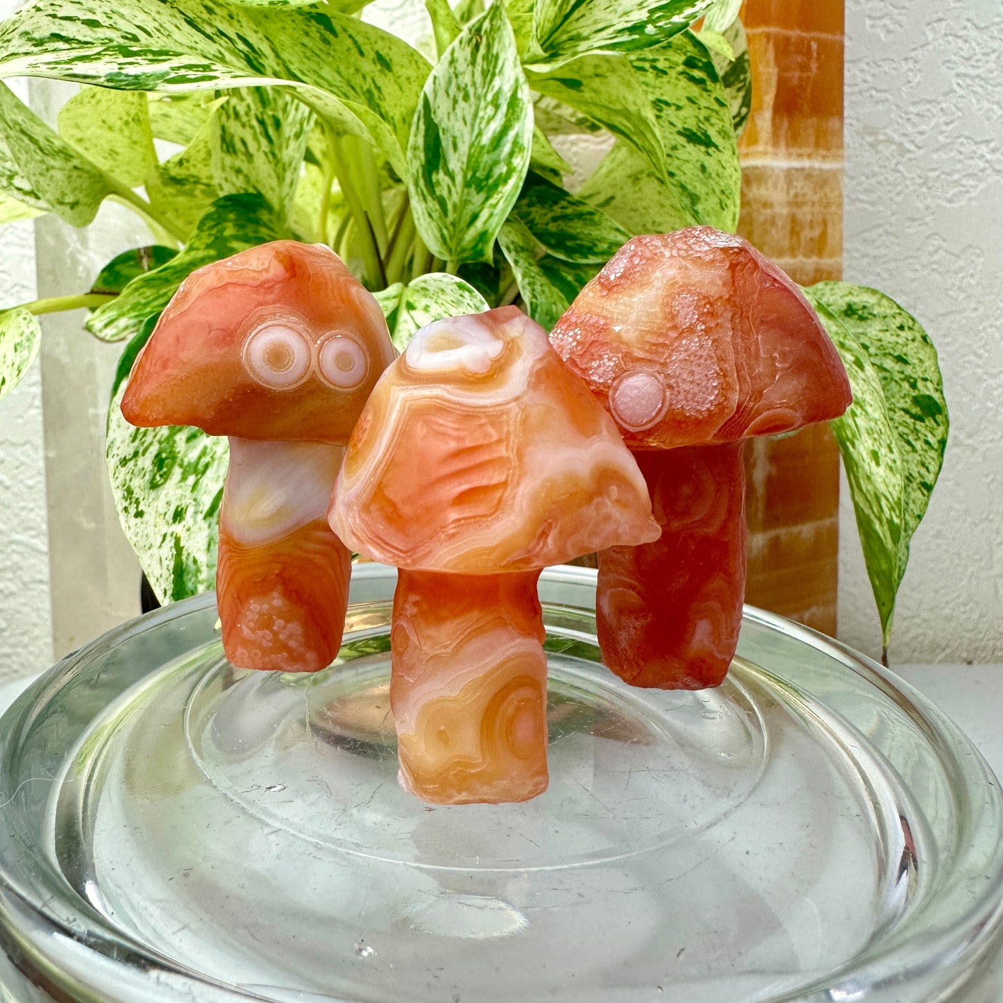 Sunset Fire Gobi Agate Mushrooms — Heat-Treated Desert Magic in Fiery Orange Tones 🍄🔥