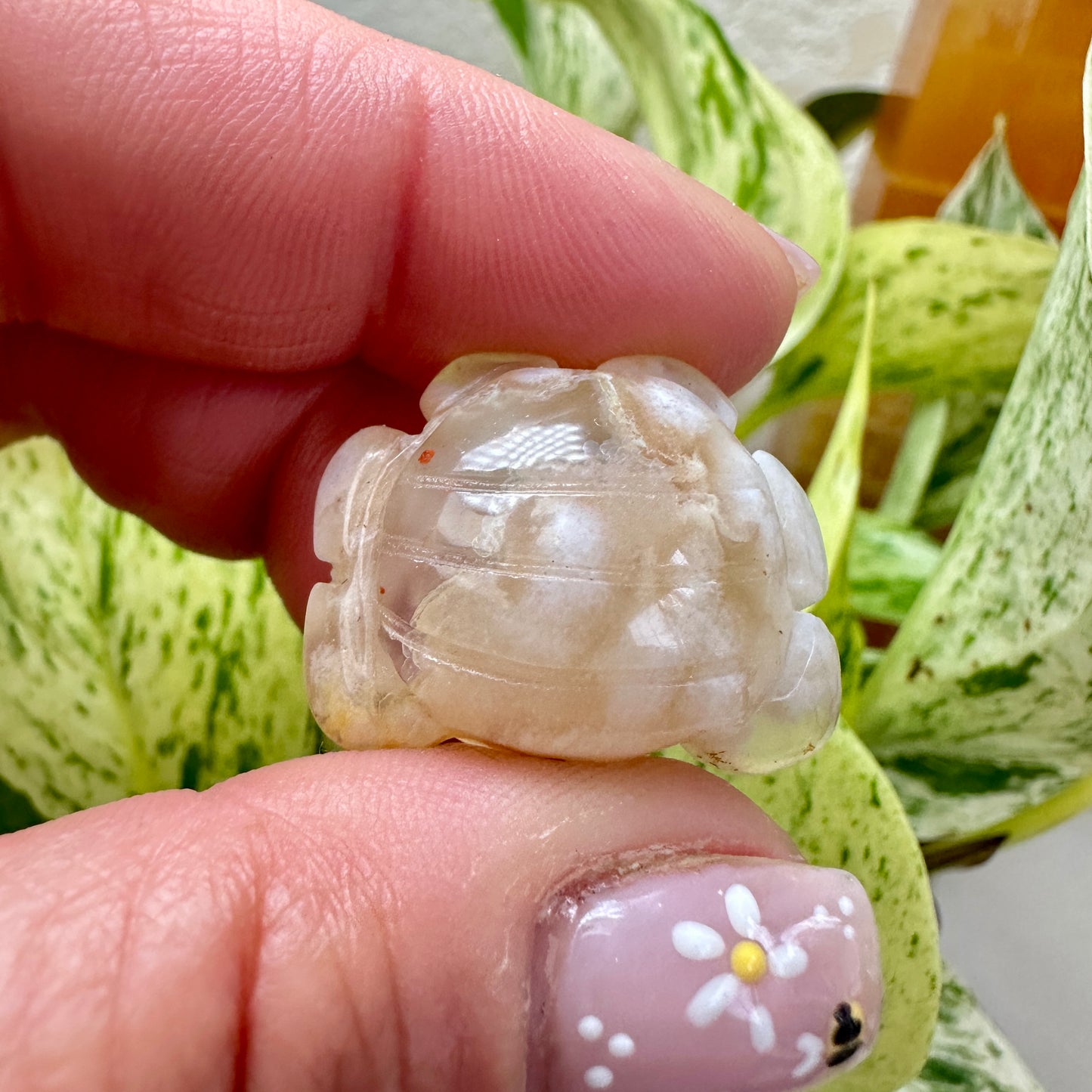 Mini Flower Agate Crabs - 1 inch - Katie's Mystic Crystals