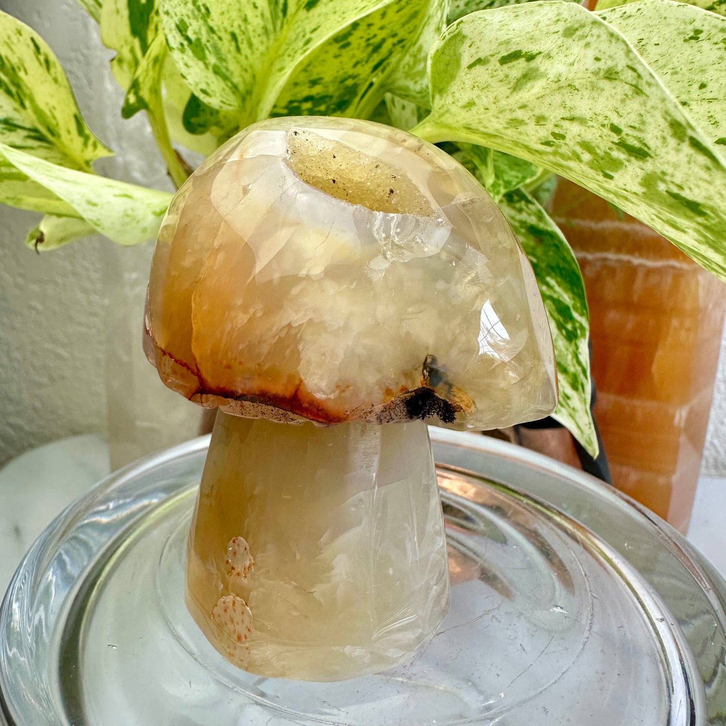 Agate Musbroom - 3 inch, 8oz