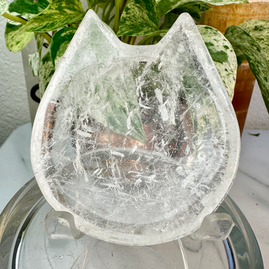 Clear Quartz Cat Head Dish — Approx. 3.4 inches | Exact Dish Shown
Clarity | Amplification | Feline Guardianship