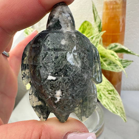 Moss Agate Sea Turtle
Grounding | Growth | Gentle Strength