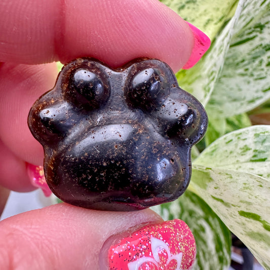 Crystal Pet Paw