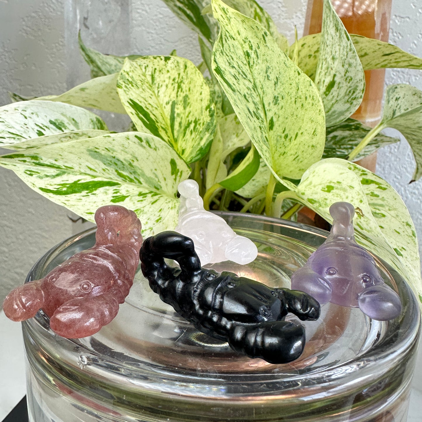 Scorpion Carving - 2 inch - Katie's Mystic Crystals