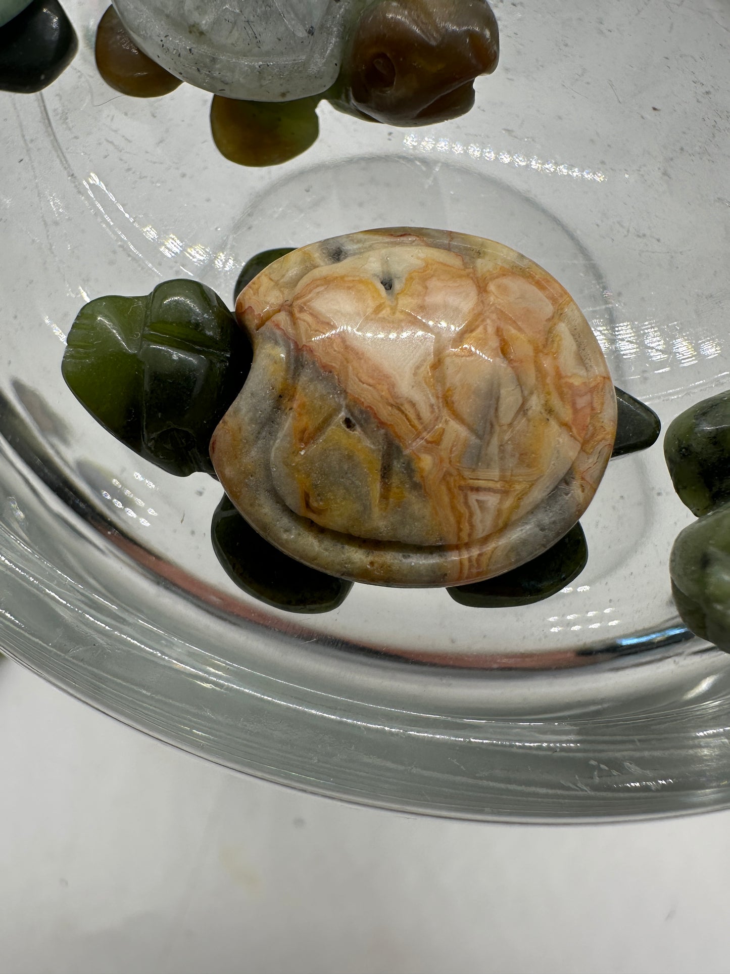 Tiny Turtles - Katie's Mystic Crystals