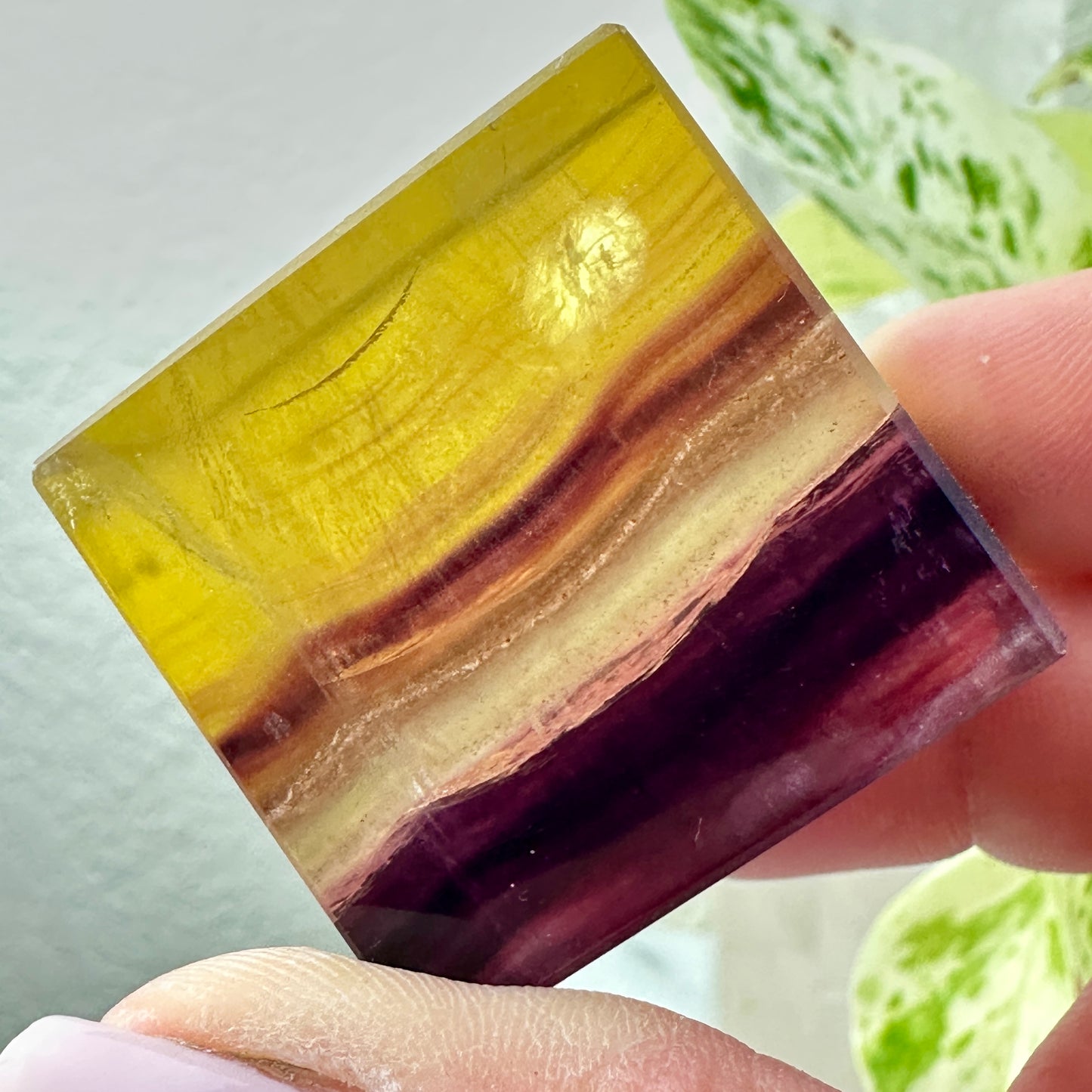 Yellow & Purple Banded Fluorite Cubes with Sparkling Mica — 1.2–1.4 inch
Clarity | Confidence | Spiritual Focus