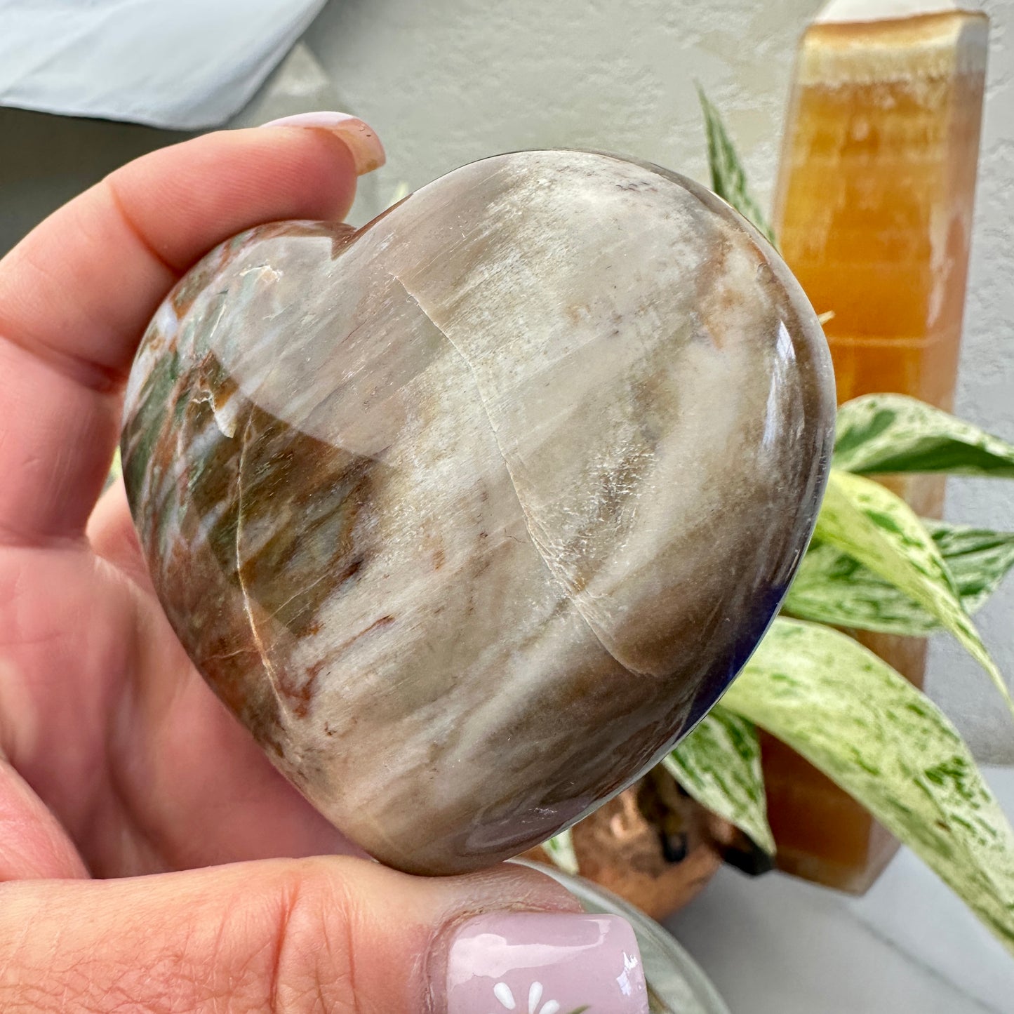 Petrified Wood Heart 6.9oz