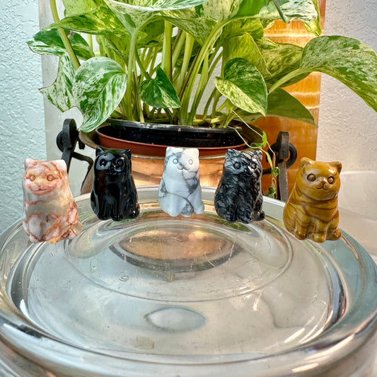 ✨ Mini Crystal Fluffy Cats — Carved in Yellow Jasper, Obsidian, Howlite, Red Vein Jasper, Spiderweb Jasper & Aura Rose Quartz ✨
Adorable Companions • Pocket-Sized Joy • Energy-Infused Decor