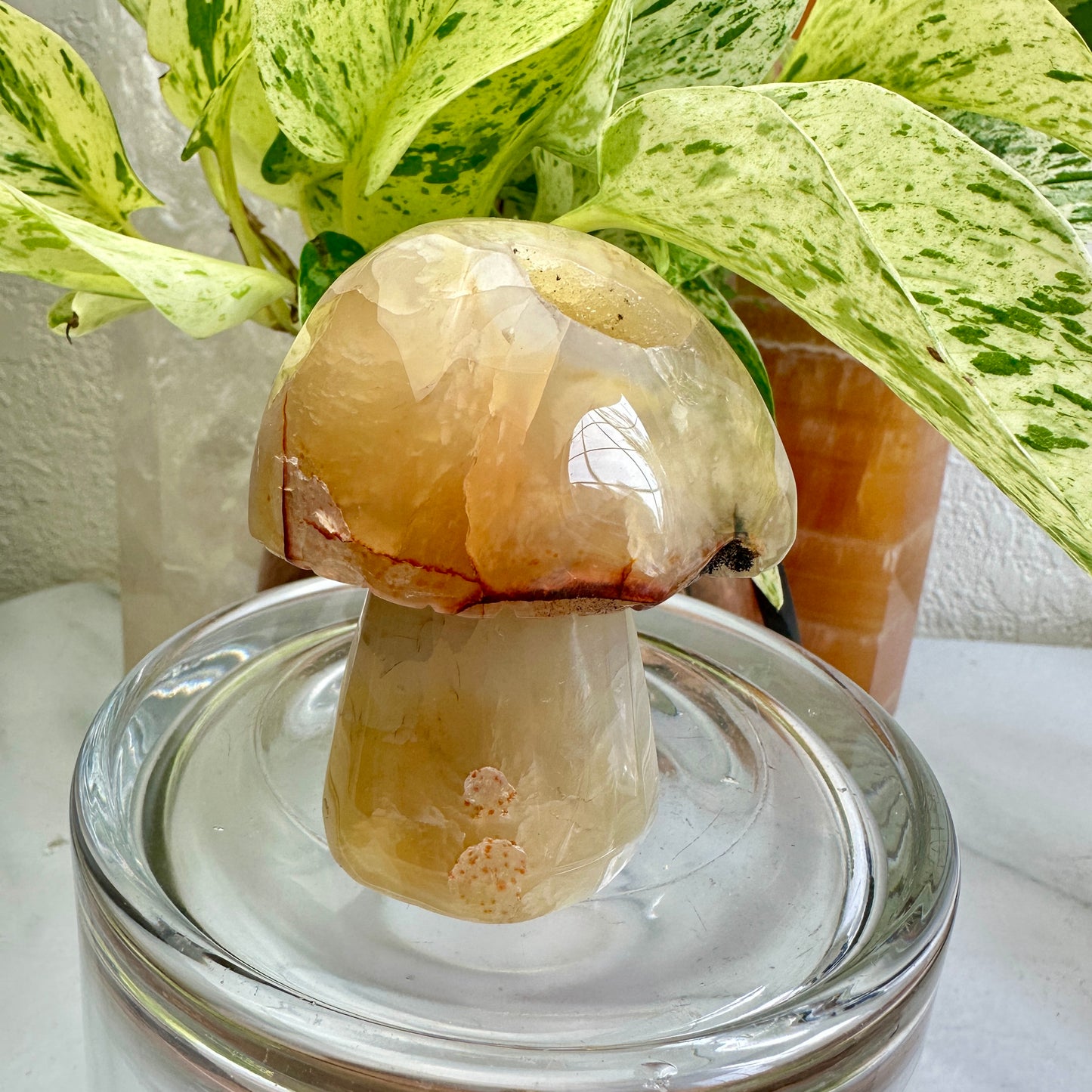 Agate Musbroom - 3 inch, 8oz