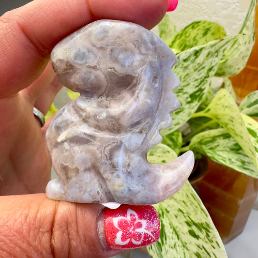 Flower Agate Dino