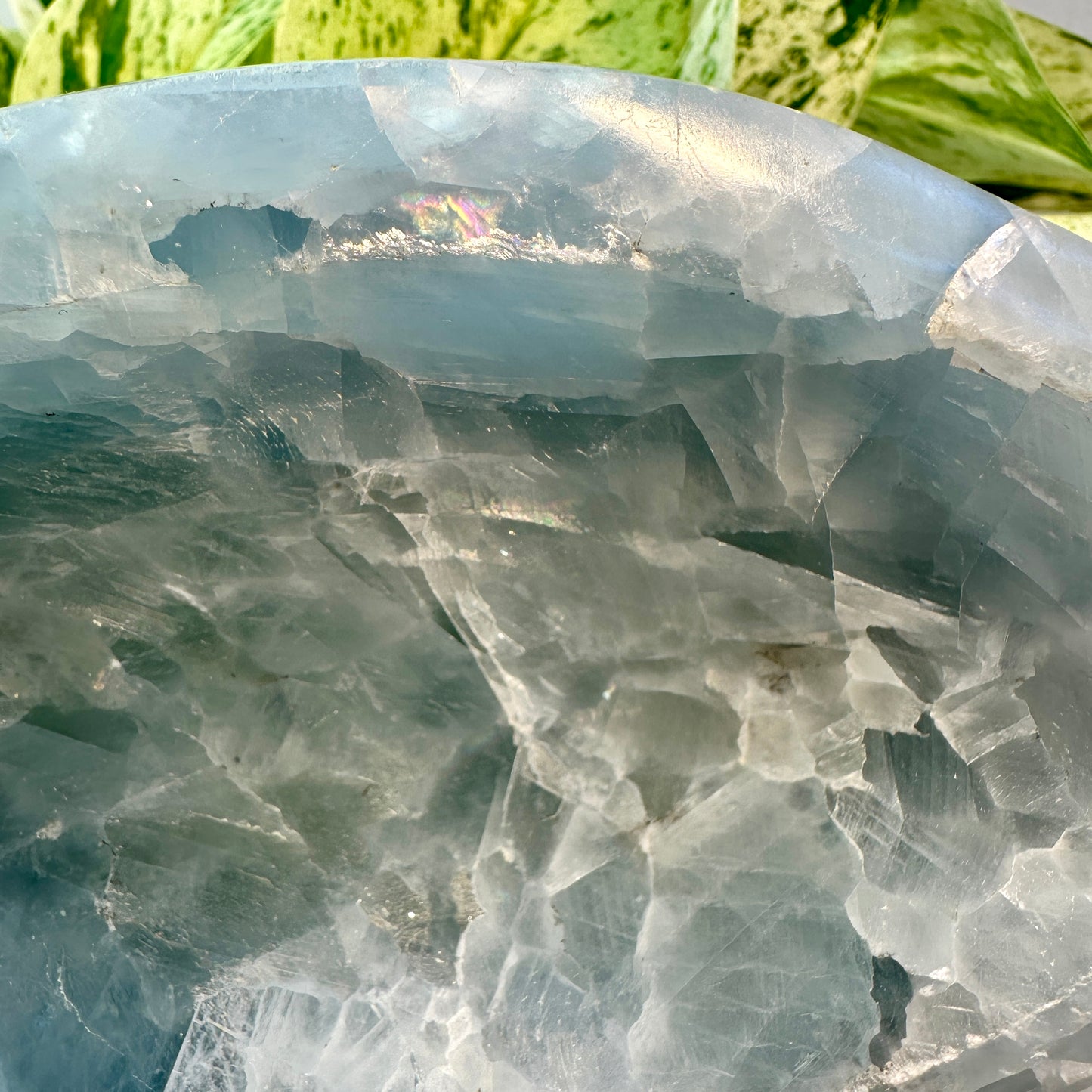 Blue Calcite Bowl — 2 lbs | 7.25” L x 1.25” H
Calm | Communication | Emotional Release
