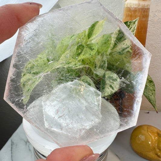 Hexagon Selenite Charging Plate — 3.5 Inches
Cleansing | Amplifying | Spiritual Clarity