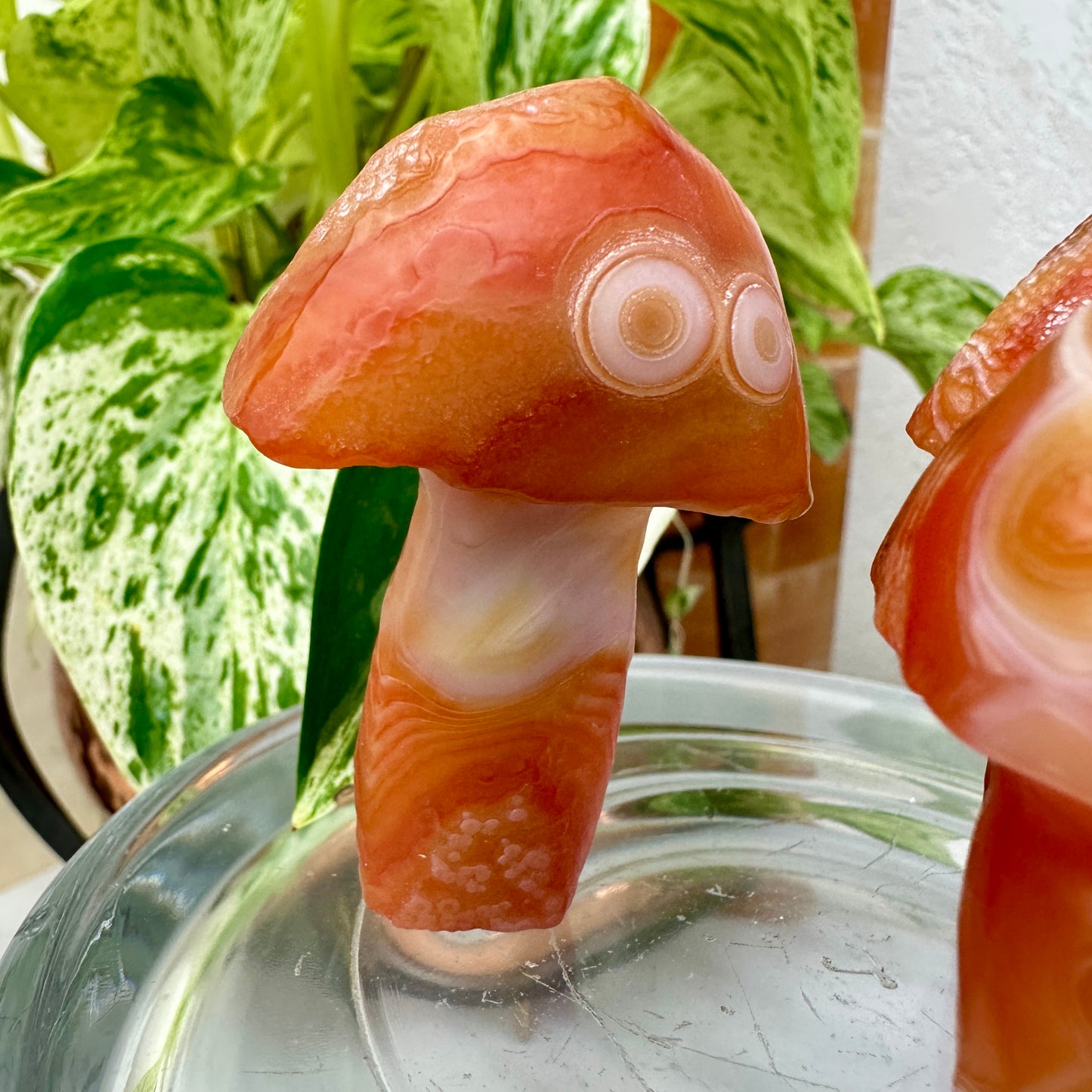 Sunset Fire Gobi Agate Mushrooms — Heat-Treated Desert Magic in Fiery Orange Tones 🍄🔥
