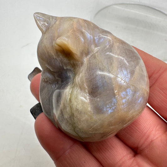 Moonstone Crystal Cat 2.3in