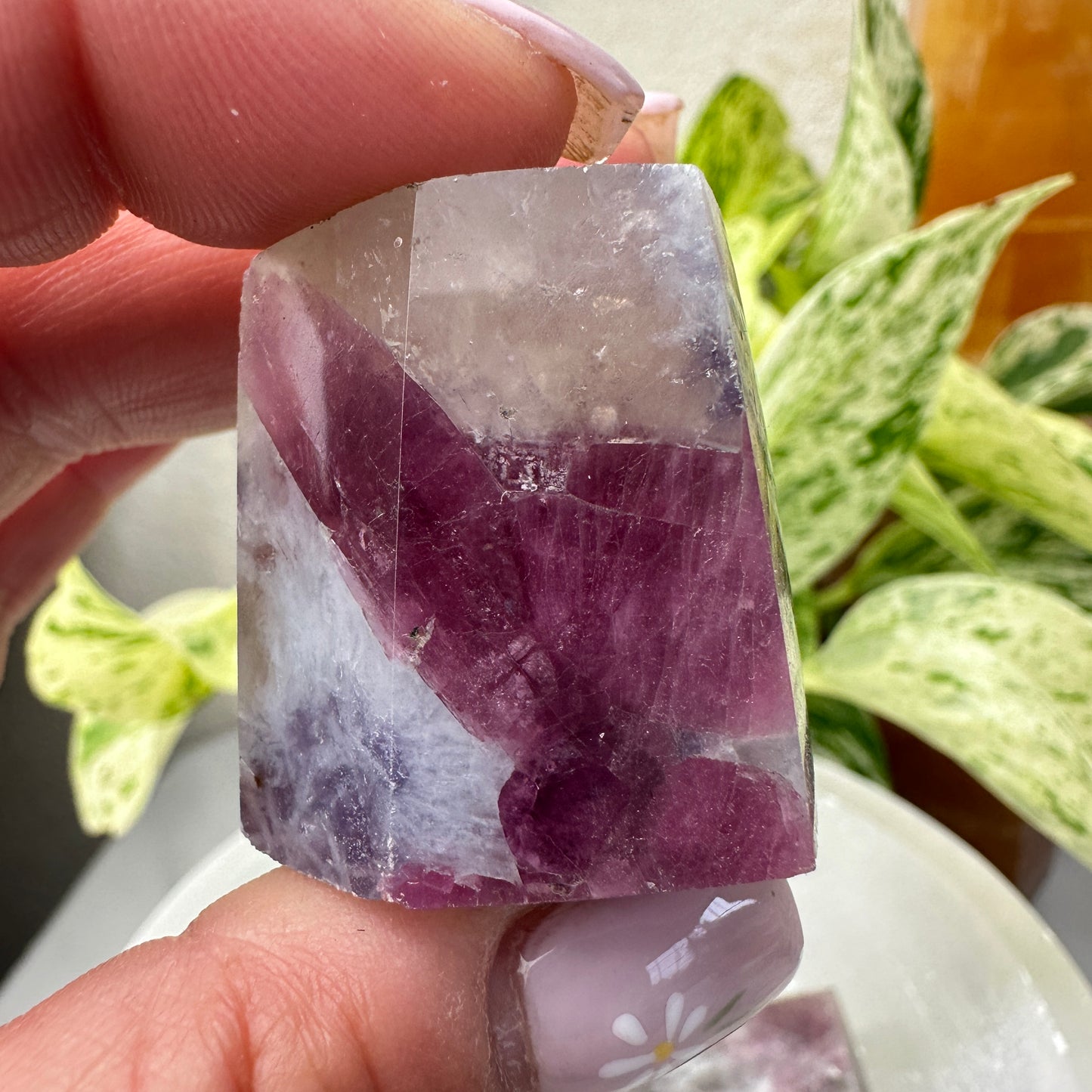 Unicorn Stone Gushers (Freeforms)
Emotional Healing | Soothing | Inner Magic