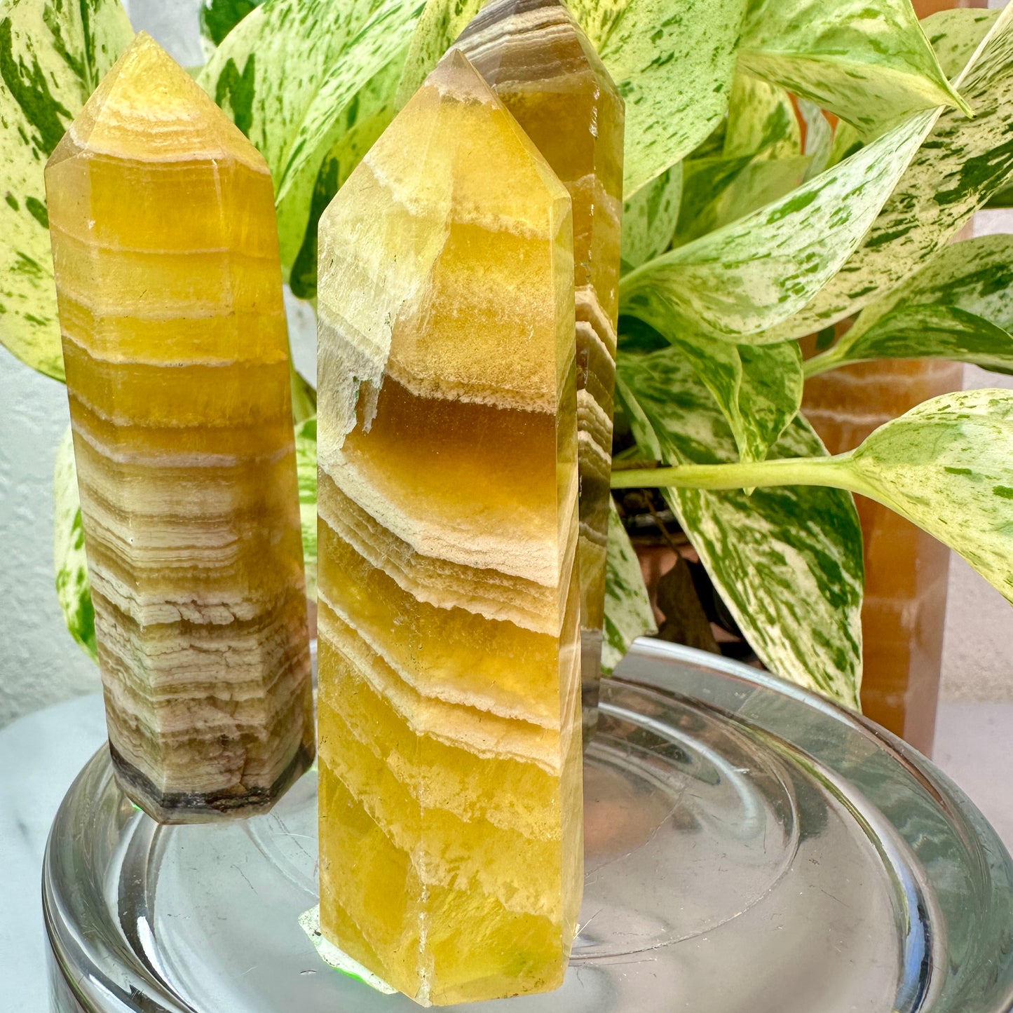 Banded Yellow Fluorite Points — 3.5 to 4 inch
Confidence | Focus | Mental Clarity