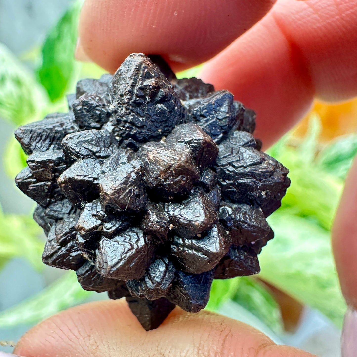 Prophecy Stone - Vision | Deep Meditation | Earth-Star Connection