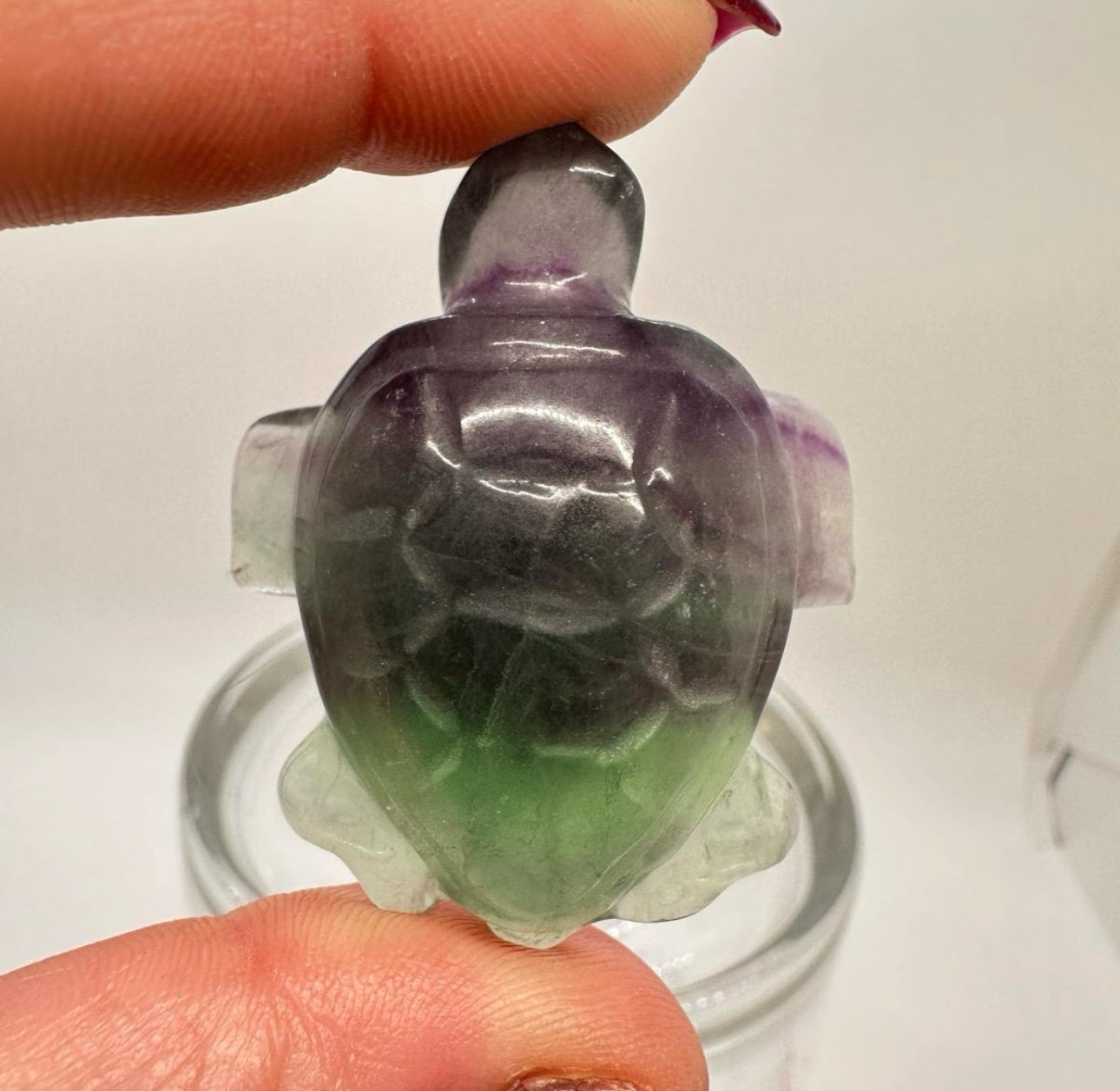 Fluorite Sea Turtle