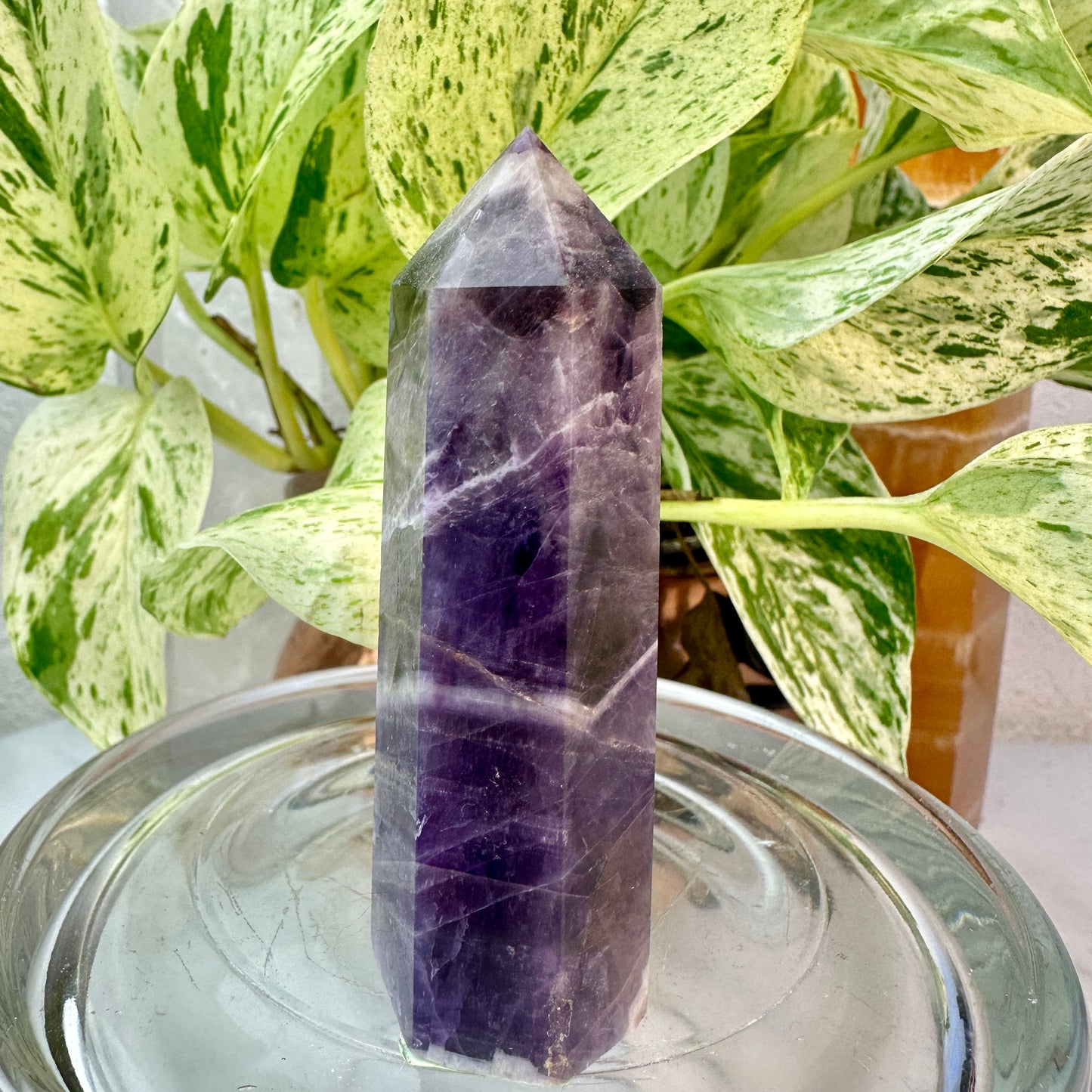 Set of 2 Amethyst Points — 3.1 & 3.9 inch
Spiritual Calm | Protection | Higher Awareness