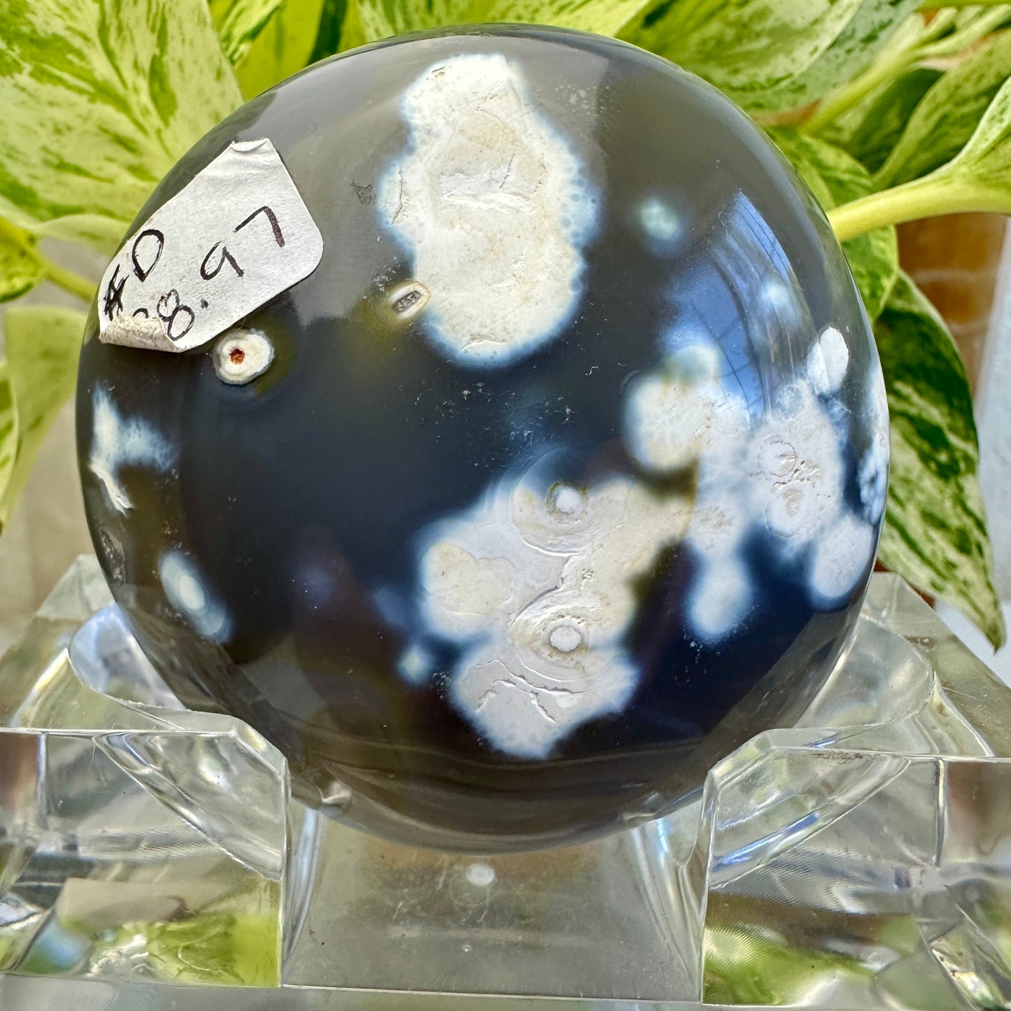 Orca Agate Palm Stone (D)