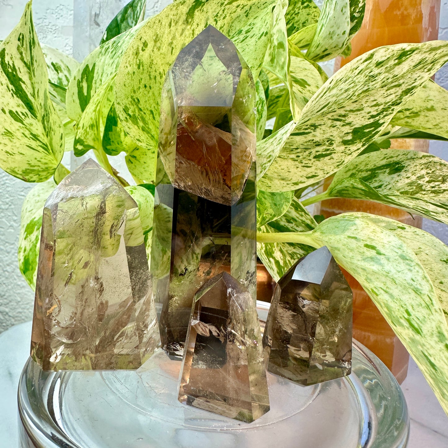 Smoky Quartz Points — High Quality | From Brazil
Grounding | Protection | Transformation - Katie's Mystic Crystals