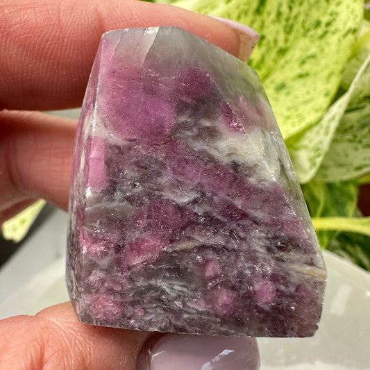 Unicorn Stone Gushers (Freeforms)
Emotional Healing | Soothing | Inner Magic