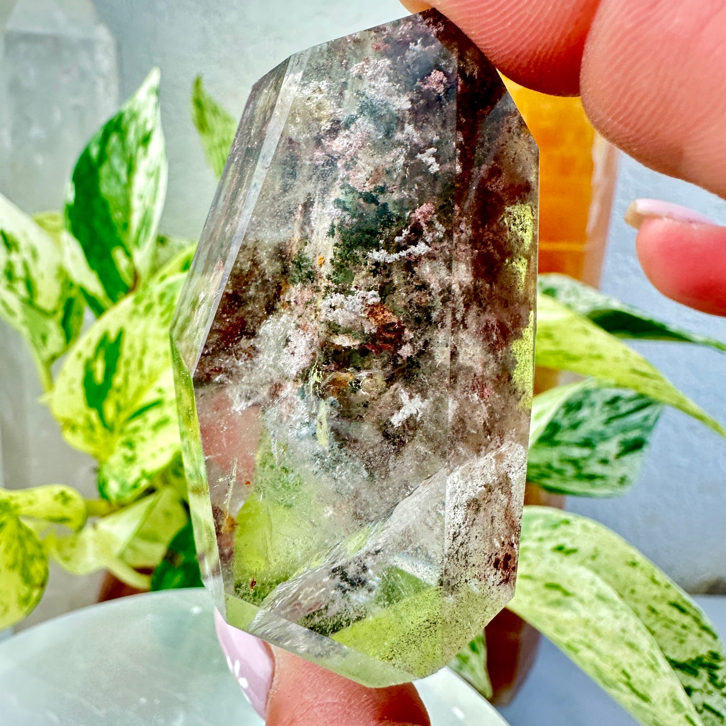 Garden Quartz Freeform — 2.8 inches
Past-Life Recall | Earth Wisdom | Visionary Growth