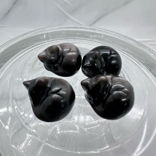 tos-useast5-i-omjb5zjo8w-tx/257155570e2e48d88d021d0f1c051767