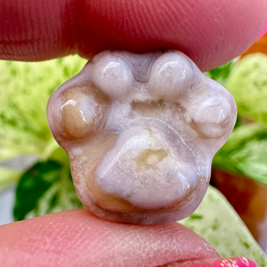 Mini Flower Agate Pet Paw