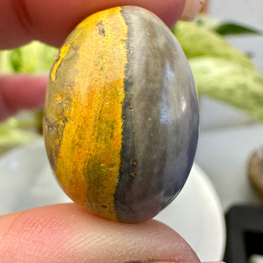 Bumblebee Jasper Tumbles - Katie's Mystic Crystals