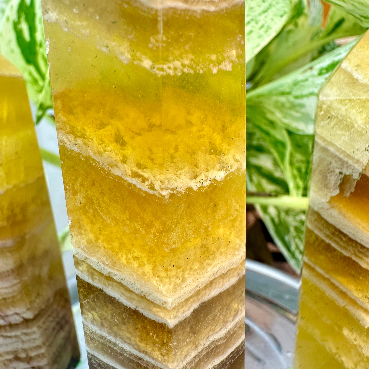 Banded Yellow Fluorite Points — 3.5 to 4 inch
Confidence | Focus | Mental Clarity