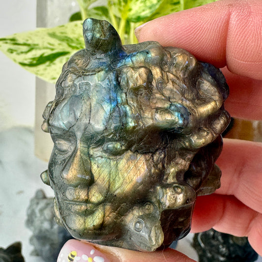 Labradorite Medusa