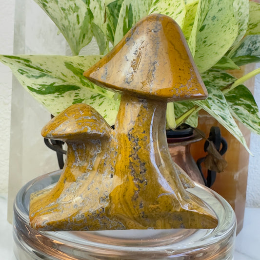 Spotted Jasper Mushrooms