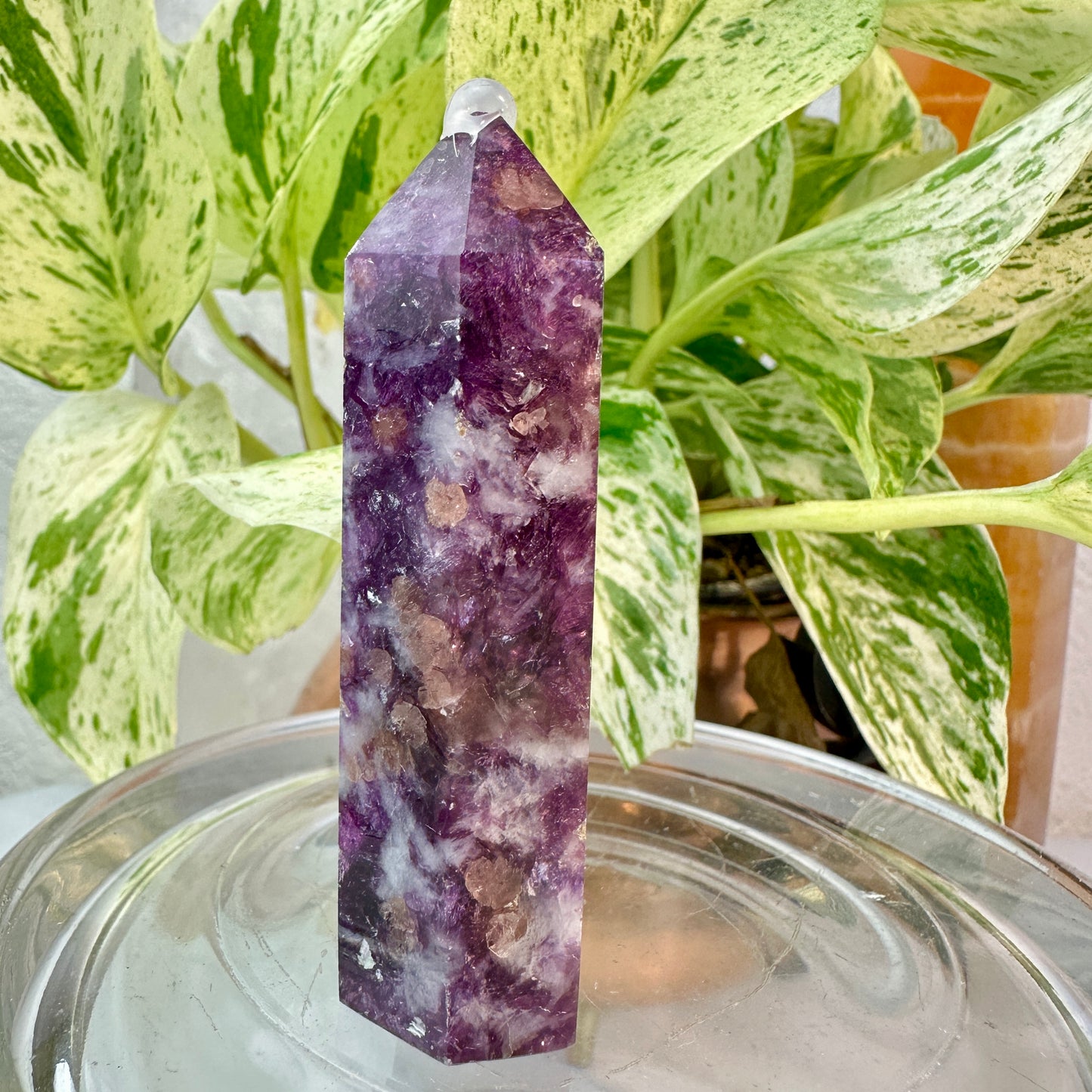 Lithium Mica & Pink Tourmaline Point — 3 inch
Emotional Healing | Self-Love | Gentle Balance