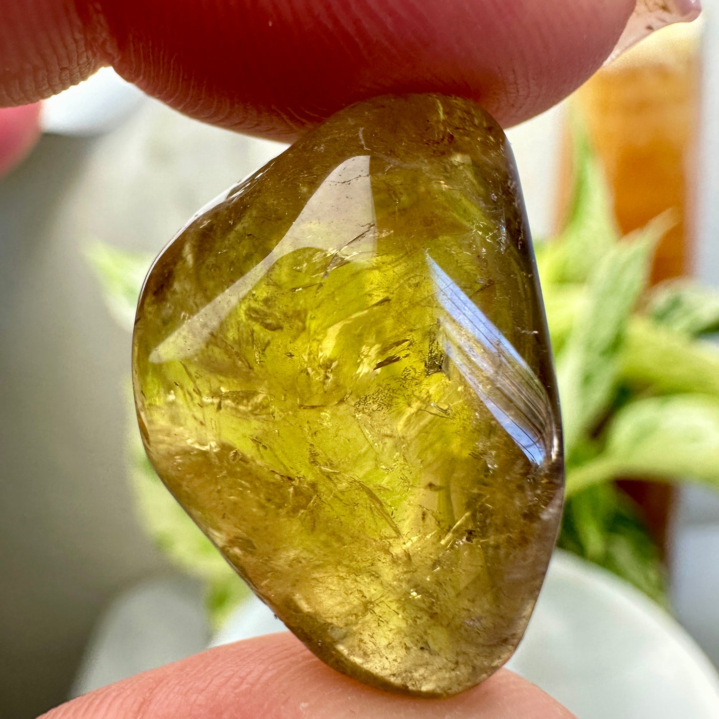 Natural Citrine Tumbles - Brazil - Katie's Mystic Crystals