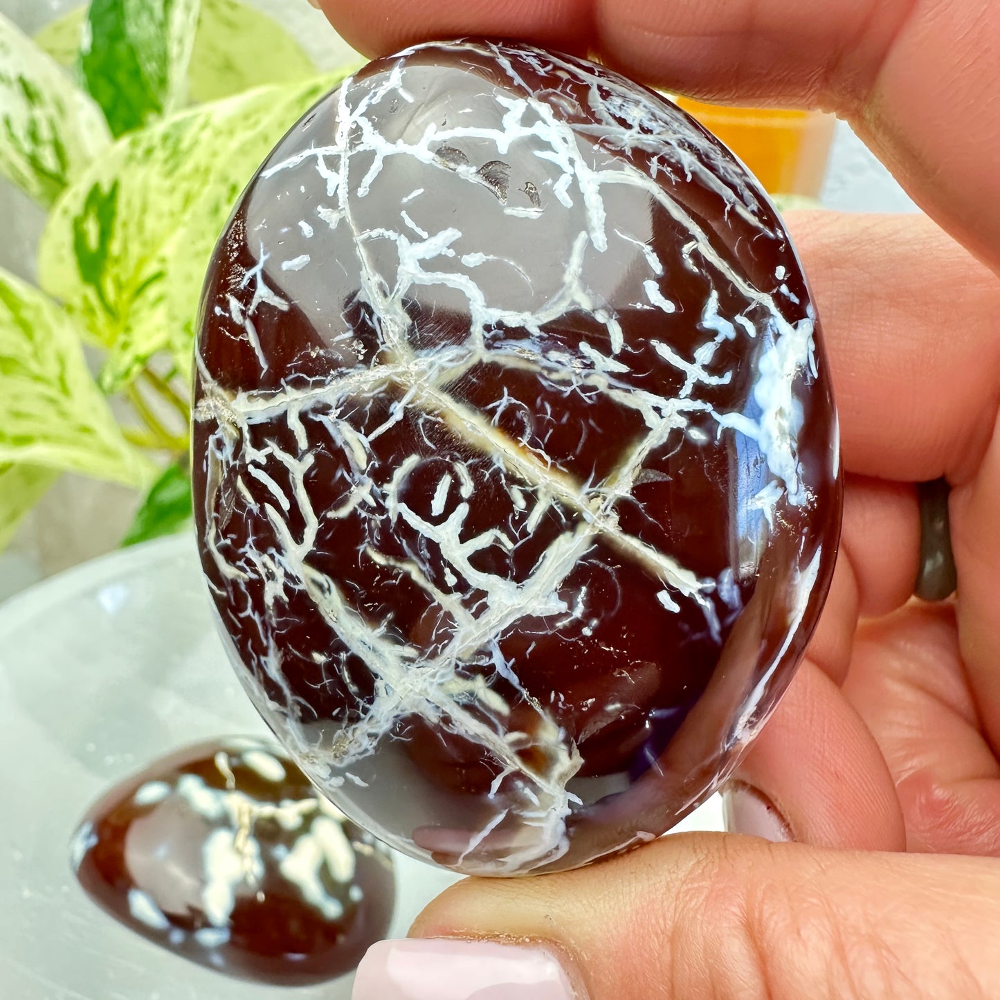 Carnelian Orca Agate Palm Stone - Katie's Mystic Crystals