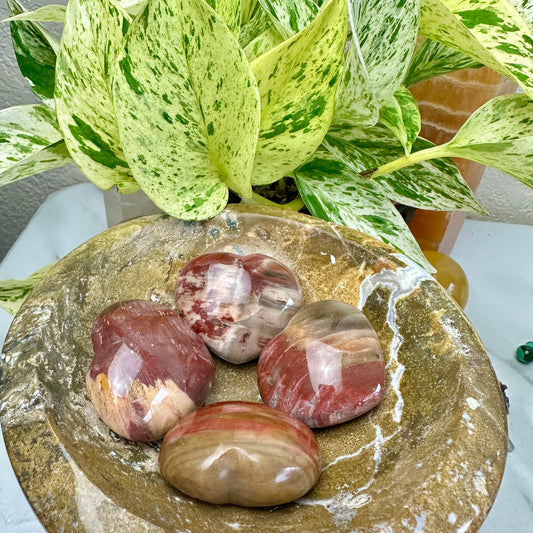 Petrified Wood Hearts - 1.2-1.5 Inch - Katie's Mystic Crystals