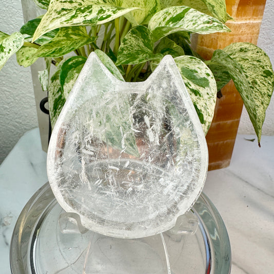 Clear Quartz Cat Head Dish — Approx. 3.4 inches | Exact Dish Shown
Clarity | Amplification | Feline Guardianship
