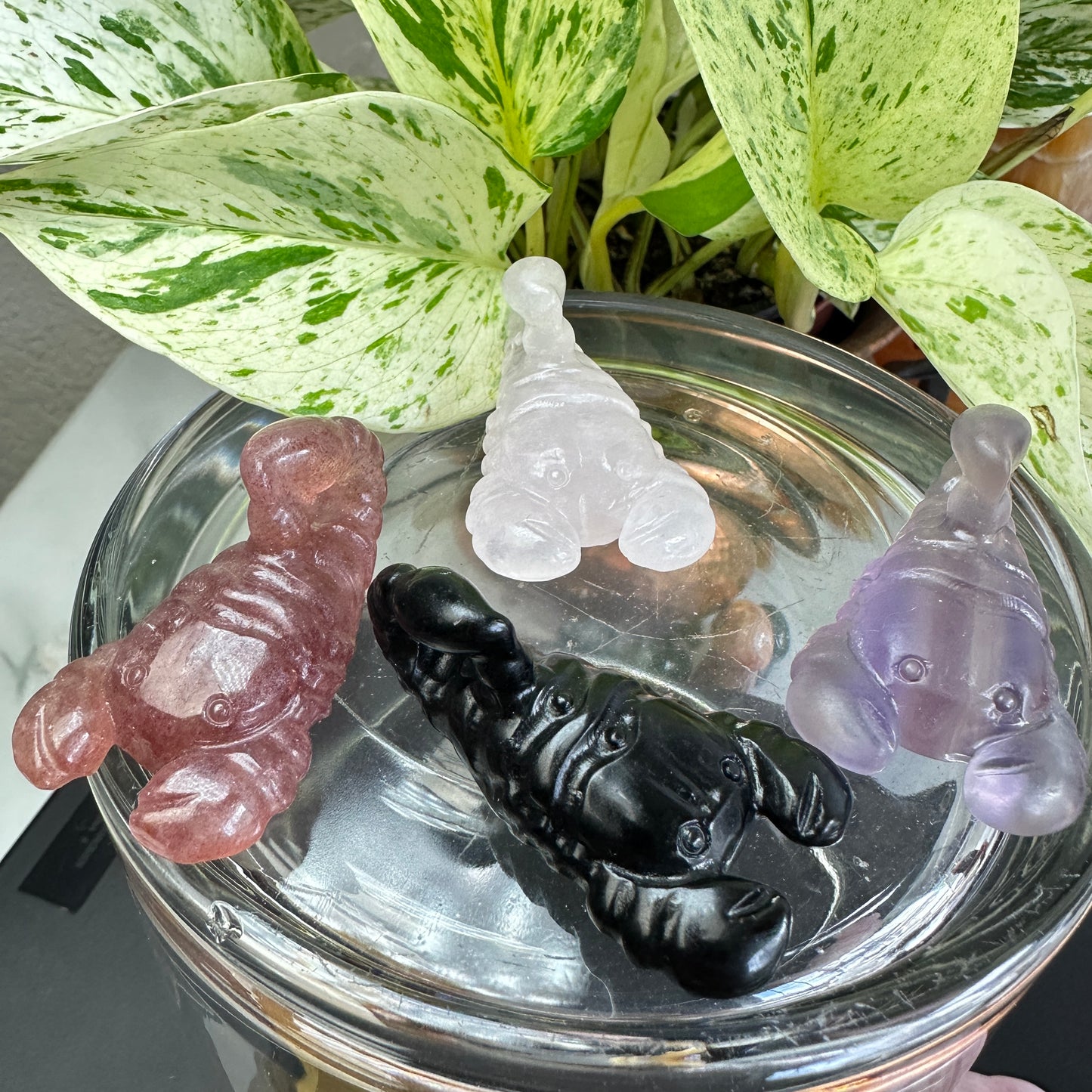Scorpion Carving - 2 inch - Katie's Mystic Crystals