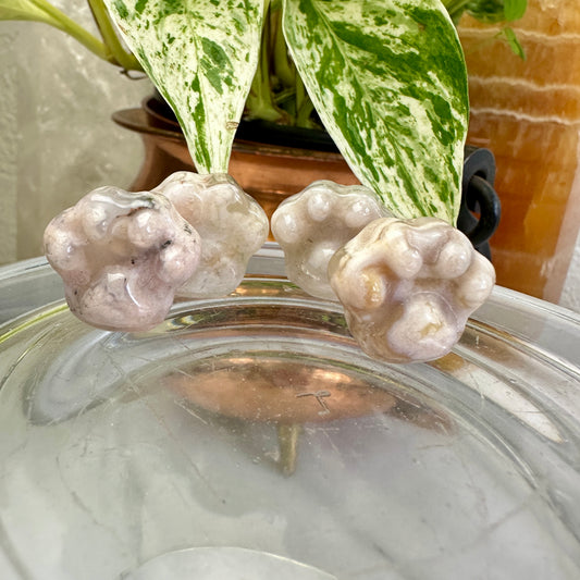 Mini Flower Agate Pet Paw