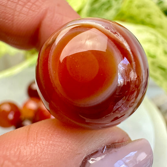 Mini Carnelian Spheres - 20mm