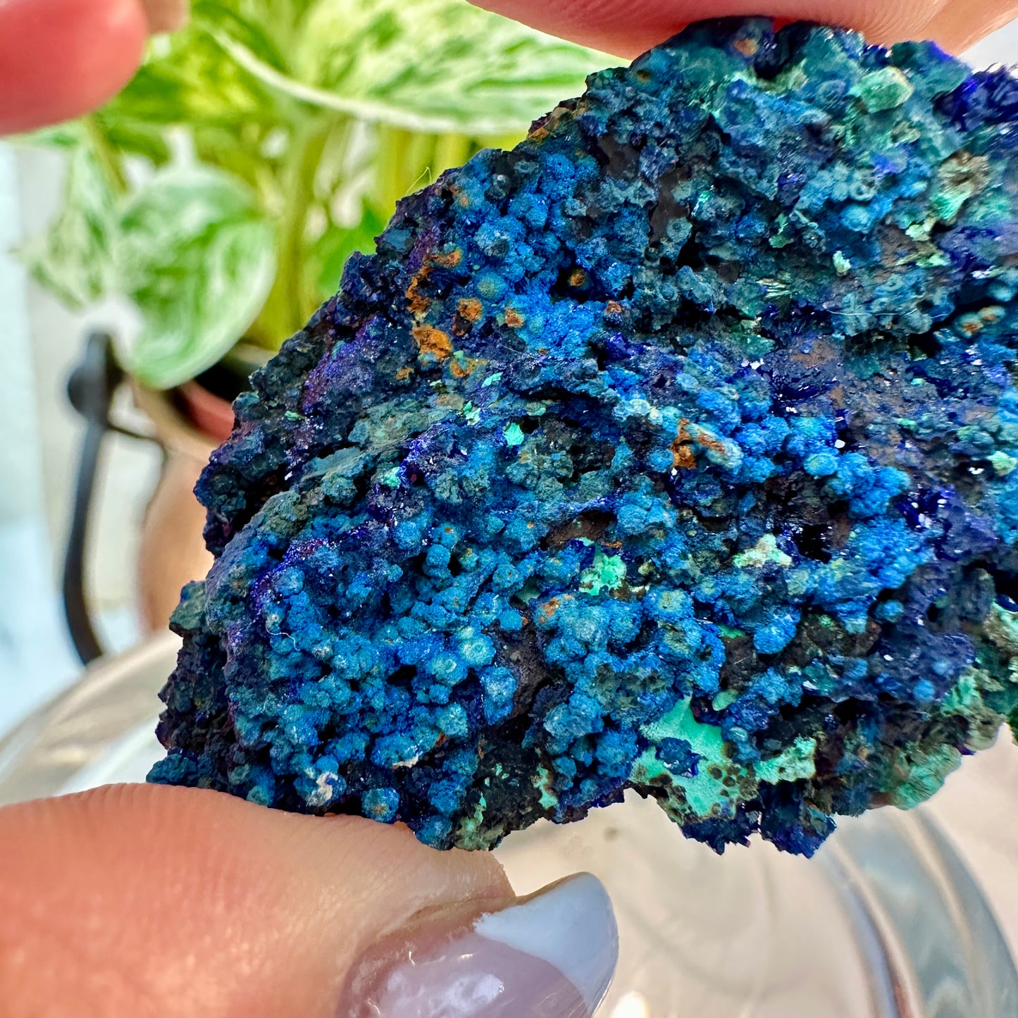 Azurite & Malachite Specimen — 36 grams | Morocco
Third Eye Activation | Transformation | Heart Healing