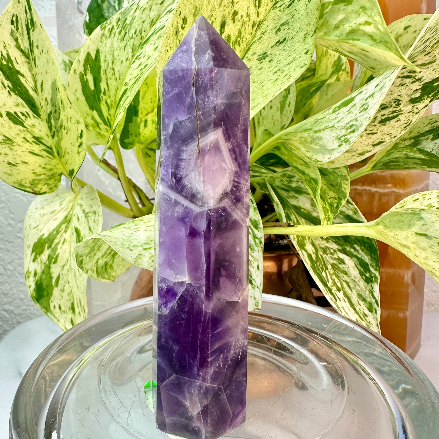 Set of 2 Amethyst Points — 3.1 & 3.9 inch
Spiritual Calm | Protection | Higher Awareness