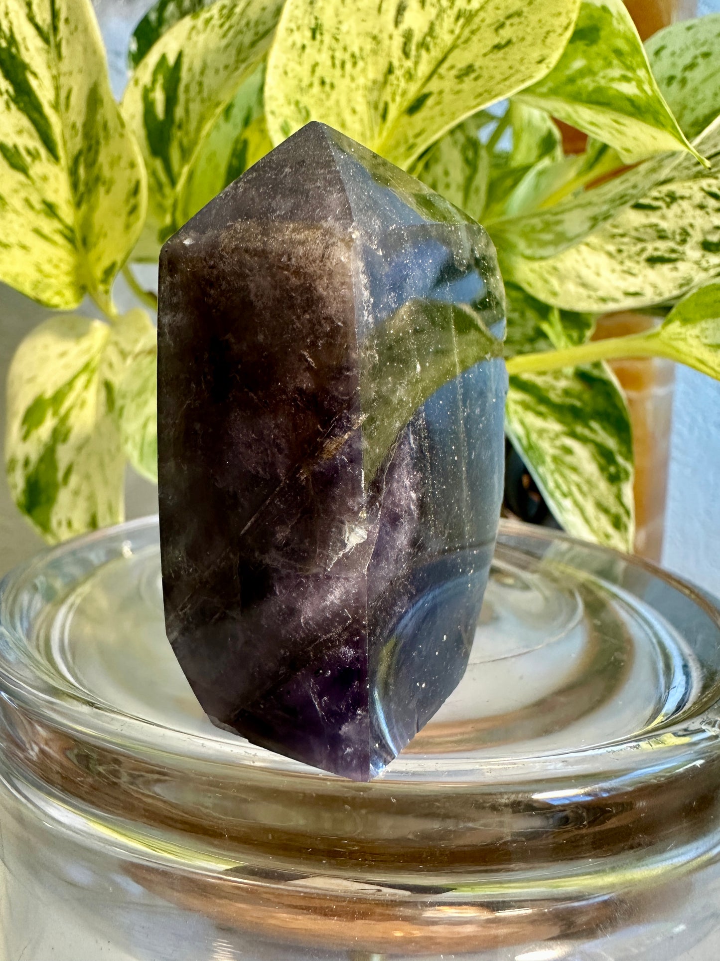 Pyrite in Fluorite Raw Edge Tower — D
2.3 in tall × 1.7 in wide × 0.9 in thick | 5 oz
Focus | Protection | Abundance Mindset - Katie's Mystic Crystals
