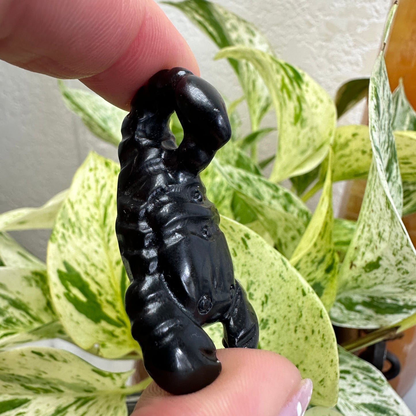 Scorpion Carving - 2 inch - Katie's Mystic Crystals