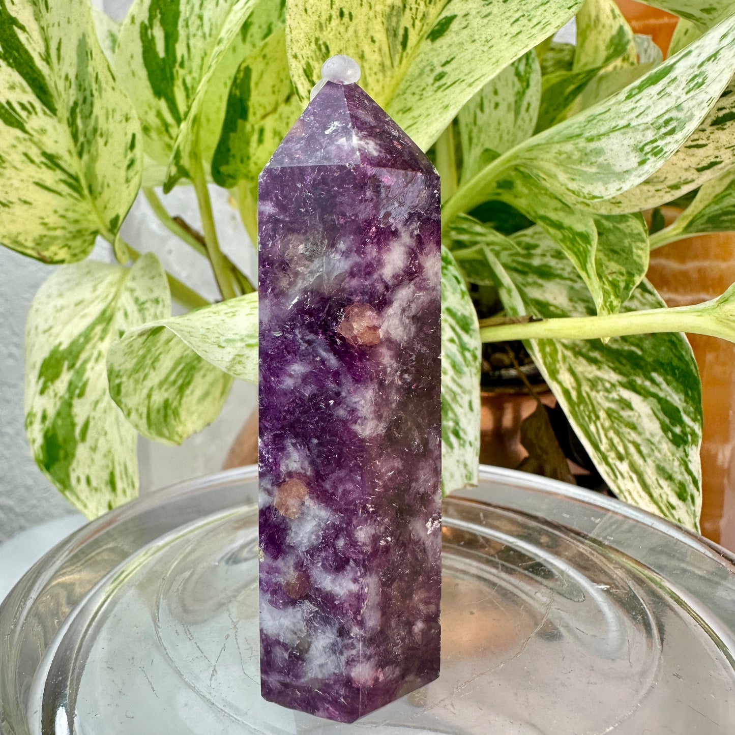 Lithium Mica & Pink Tourmaline Point — 3 inch
Emotional Healing | Self-Love | Gentle Balance