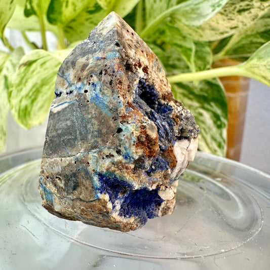 Raw Azurite in Matrix Points — You Pick
Psychic Insight | Intuition | Higher Wisdom - Katie's Mystic Crystals
